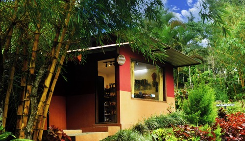 Habitación Deluxe, vistas al jardín