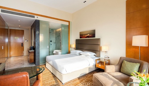 Habitación Club, 1 cama de matrimonio grande
