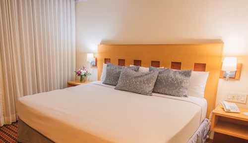 Habitación estándar, 1 cama de matrimonio grande