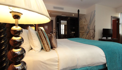 Habitación estándar, 1 cama de matrimonio grande (Wheelchair)