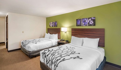 Habitación, 2 camas de matrimonio, accesible para personas con discapacidad, no fumadores