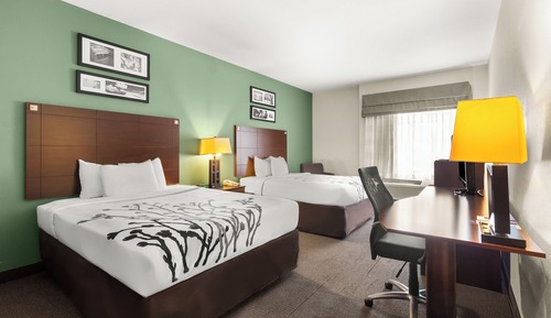 Habitación estándar, 1 cama de matrimonio grande, no fumadores