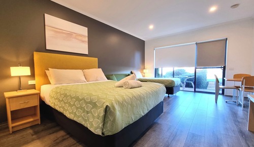 Habitación Deluxe con 2 camas individuales, patio