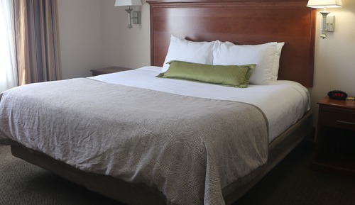 Suite estudio, 1 cama de matrimonio, accesible para personas con discapacidad (Transfer Shower)