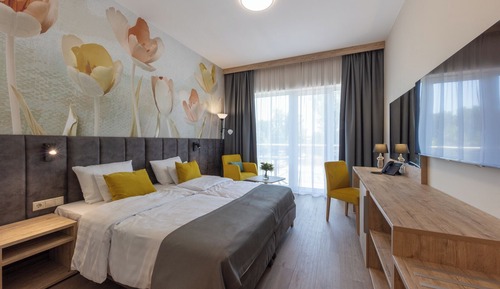 Habitación Deluxe con 1 cama doble o 2 individuales