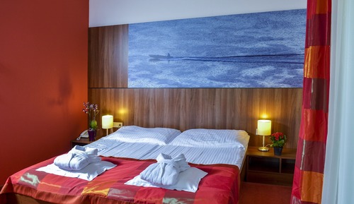 Habitación estándar con 1 cama doble o 2 individuales