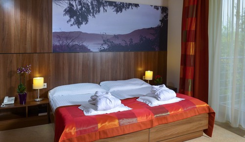 Habitación Deluxe