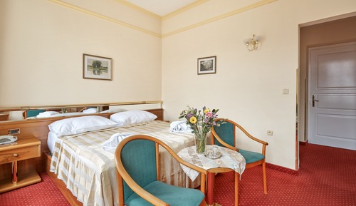 Habitación Confort doble (Balneo Treatment Package)