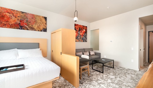 Suite estudio estándar, 1 cama de matrimonio grande con sofá cama