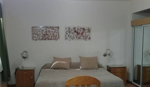 Suite ejecutiva, 1 habitación