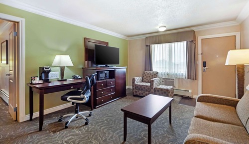 Suite, 1 cama de matrimonio, no fumadores, frigorífico y microondas (No Pets in room type)
