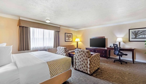 Suite, 1 cama de matrimonio grande, no fumadores, frigorífico y microondas (No Pets in room type)
