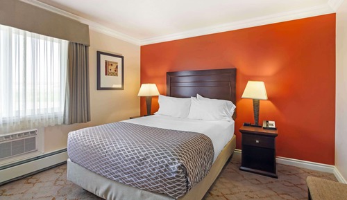 Apartamento estándar, 1 cama de matrimonio, no fumadores (Pet Friendly;Sofabed, Full Kitchen)