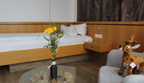 Habitación individual superior