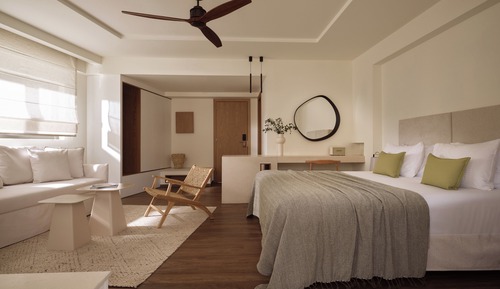 Premium Executive Suite