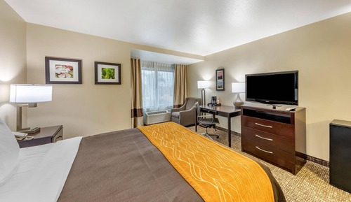 Habitación estándar, 1 cama de matrimonio grande, no fumadores