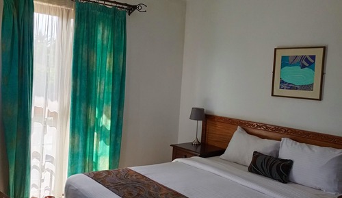 Suite Premier, 1 cama doble