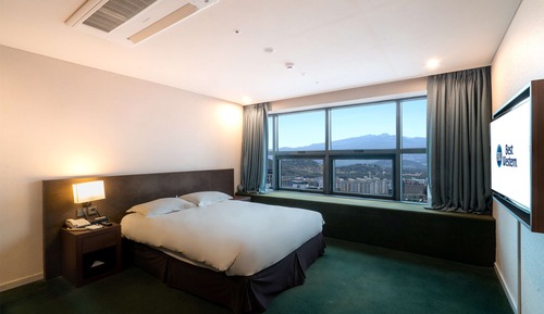 Habitación estándar, 1 cama doble, no fumadores