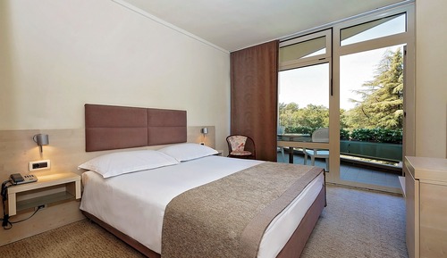 Habitación clásica, balcón, vistas al parque