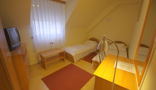 Habitación individual estándar, 1 cama individual