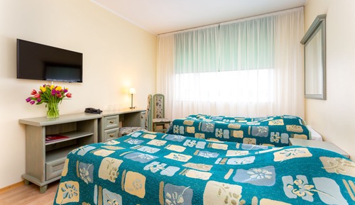 Habitación estándar con 1 cama doble o 2 individuales