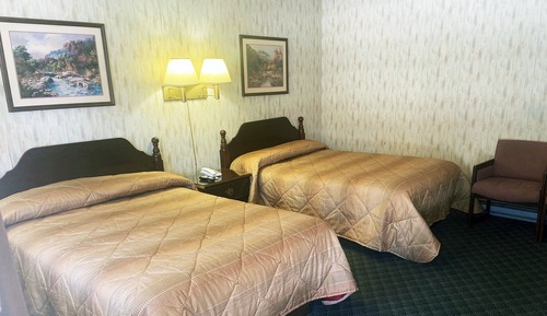 Habitación estándar, 2 camas dobles