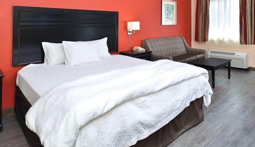 Habitación básica, 1 cama de matrimonio grande