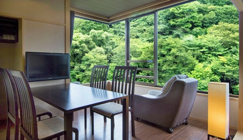 Habitación Premium (Premium room, Non-Smoking)