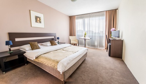 Habitación doble superior de uso individual, 1 cama de matrimonio