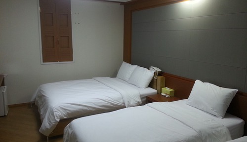 Habitación Deluxe con 2 camas individuales