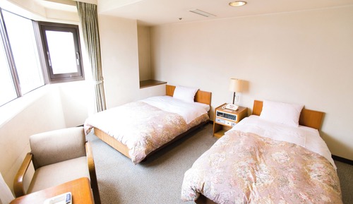 Habitación básica con 2 camas individuales, no fumadores
