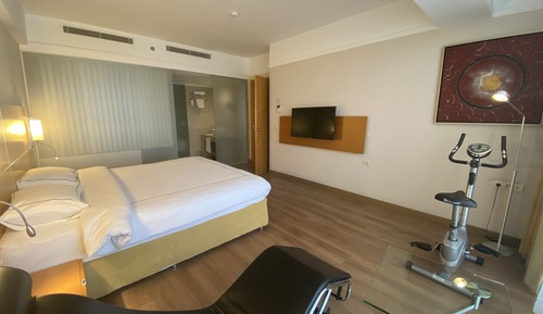 Suite ejecutiva, 1 cama de matrimonio grande