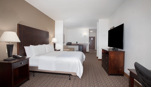 Suite, 1 cama individual, accesible para personas con discapacidad (Mobility)