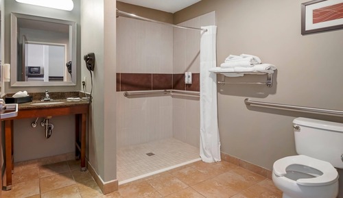 Suite, 1 cama de matrimonio grande, accesible para personas con discapacidad (Roll-In Shower)