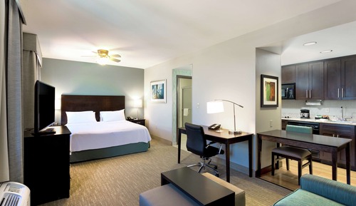 Estudio, 1 cama de matrimonio grande, no fumadores (Mobility & Hearing, Roll-in Shower)