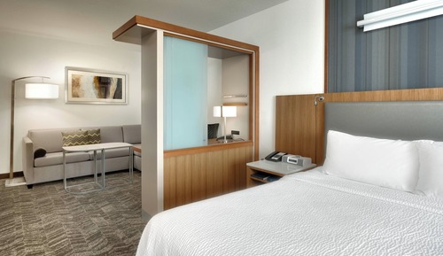 Estudio, 1 cama de matrimonio grande con sofá cama (Mobility/Hearing Access, Roll-In Shwr)