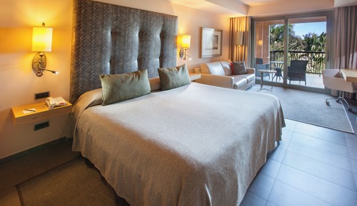 Habitación estándar doble, balcón, vistas al jardín