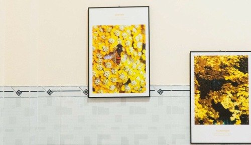 Habitación básica doble