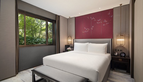 Habitación estándar, 1 cama de matrimonio grande (Walk-In Shower)