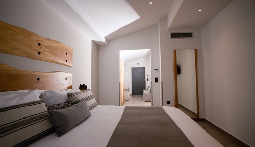 Superior King Room with Garden View