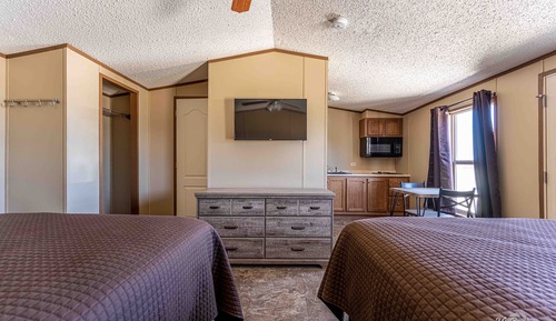Suite Estudio Business