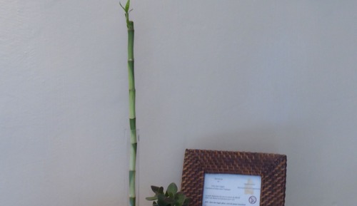Habitación tradicional doble (Sirona)