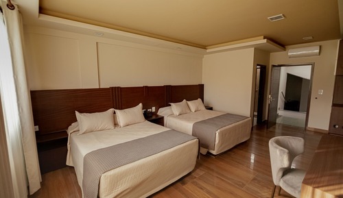 Executive Single Room, 1 Double Bed
