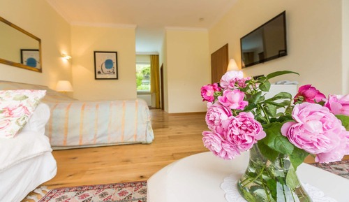 Habitación doble, vistas al jardín