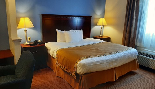 Suite sénior