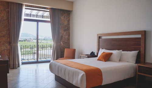 Habitación Junior Suite 1 cama King
