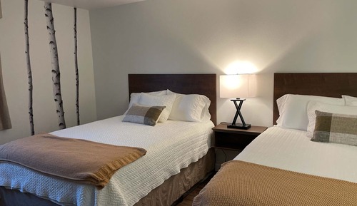 Habitación básica doble