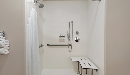 Habitación estándar, 1 cama de matrimonio grande, accesible en silla de ruedas (Roll-In Shower)