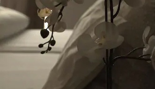 Apartamento, balcón