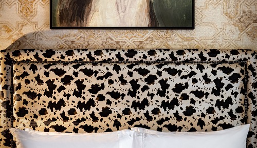 Suite, 1 cama de matrimonio grande con sofá cama